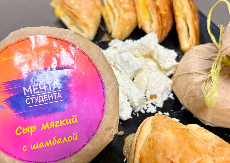 Дегустация MVP стартапа