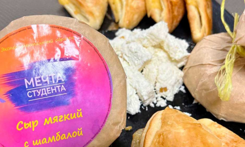 Дегустация MVP стартапа